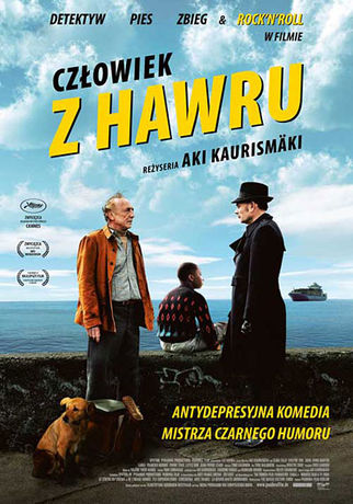 Kino Fenomen WDK Kino 