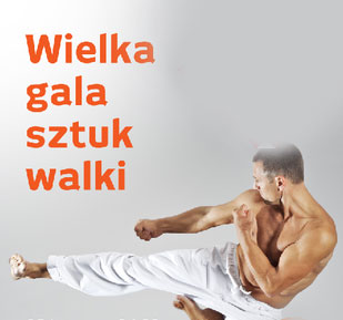 Galeria Echo Sport i Rekreacja Wielka gala sztuk walki 