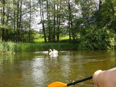  Sport i Rekreacja Spływ kajakowy Czarną Nidą 