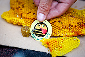 zobacz info Świętokrzyskie Wielki Dzień Pszczół w Świętokrzyskim Parku Narodowym 