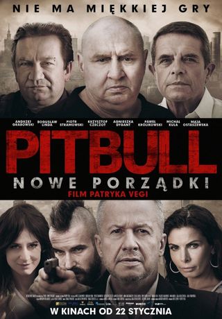 Kino Moskwa Kino Pitbull. Nowe porządki 