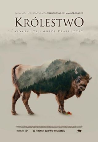 Helios Kino Królestwo / Kino Konesera 