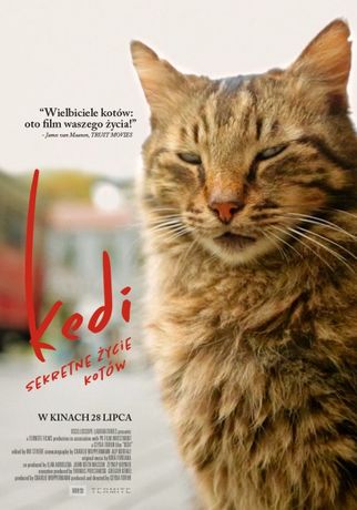 Kino Moskwa Kino Kedi. Sekretne życie kotów / pokaz przedpremierowy 