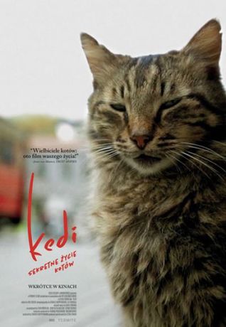 Helios Kino Kedi - sekretne życie kotów / Kino Konesera 